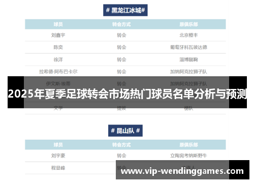 2025年夏季足球转会市场热门球员名单分析与预测