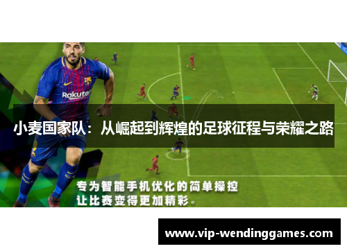 小麦国家队：从崛起到辉煌的足球征程与荣耀之路