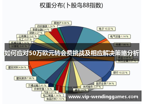 如何应对50万欧元转会费挑战及相应解决策略分析