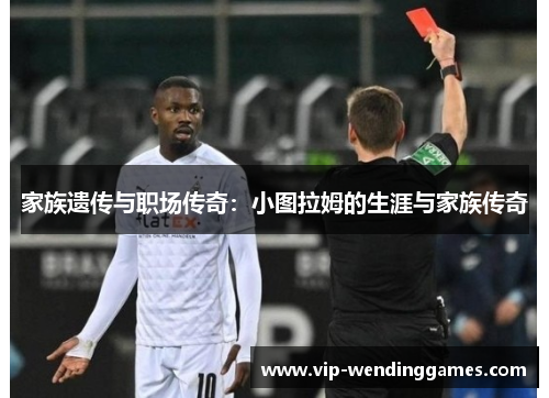 家族遗传与职场传奇：小图拉姆的生涯与家族传奇