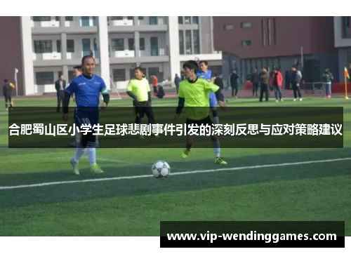 合肥蜀山区小学生足球悲剧事件引发的深刻反思与应对策略建议