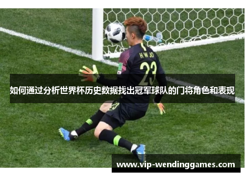 如何通过分析世界杯历史数据找出冠军球队的门将角色和表现