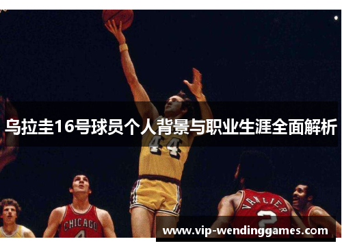 乌拉圭16号球员个人背景与职业生涯全面解析