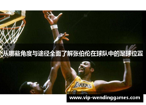 从哪些角度与途径全面了解张伯伦在球队中的足球位置