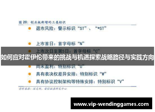 如何应对霍伊伦带来的挑战与机遇探索战略路径与实践方向