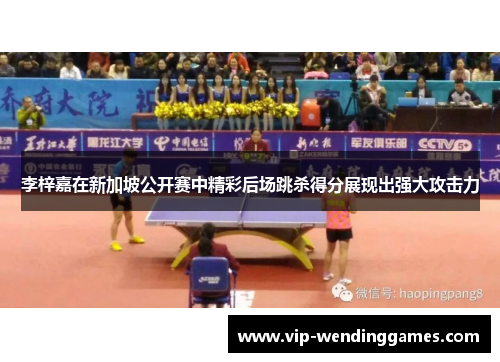 李梓嘉在新加坡公开赛中精彩后场跳杀得分展现出强大攻击力